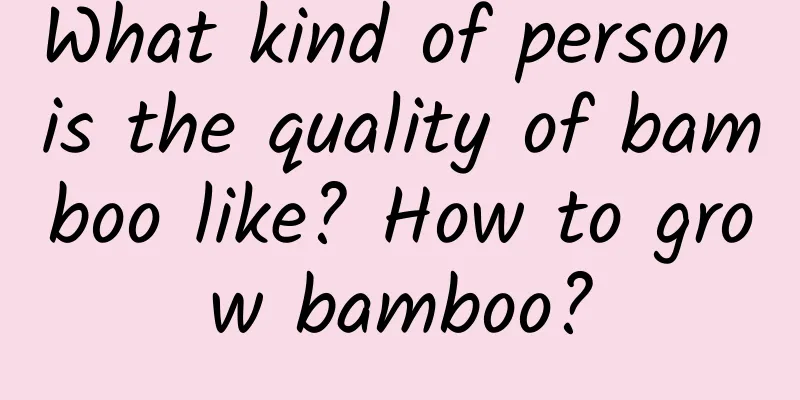 What kind of person is the quality of bamboo like? How to grow bamboo?