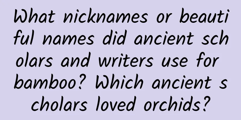 What nicknames or beautiful names did ancient scholars and writers use for bamboo? Which ancient scholars loved orchids?