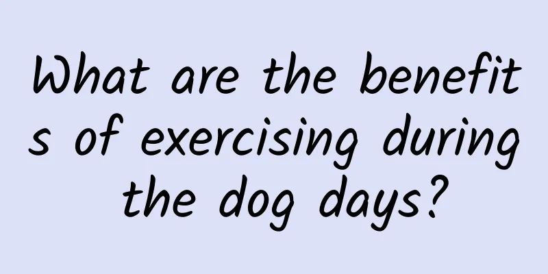 What are the benefits of exercising during the dog days?