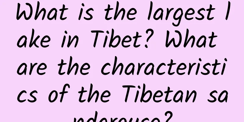 What is the largest lake in Tibet? What are the characteristics of the Tibetan sandgrouse?