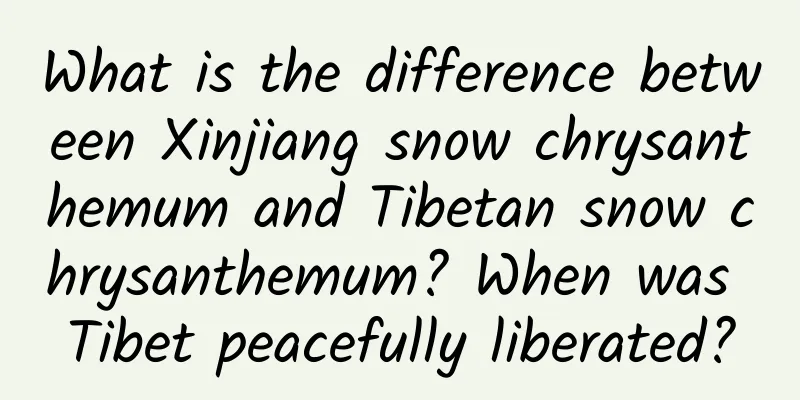 What is the difference between Xinjiang snow chrysanthemum and Tibetan snow chrysanthemum? When was Tibet peacefully liberated?