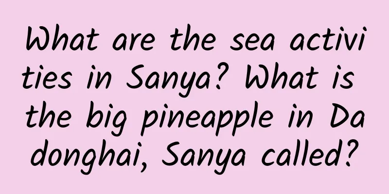 What are the sea activities in Sanya? What is the big pineapple in Dadonghai, Sanya called?