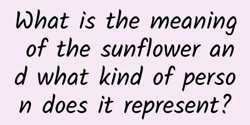 What is the meaning of the sunflower and what kind of person does it represent?