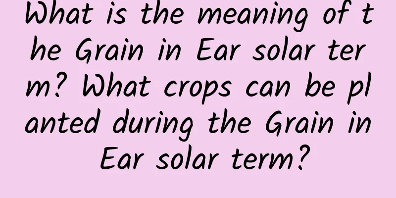 What is the meaning of the Grain in Ear solar term? What crops can be planted during the Grain in Ear solar term?