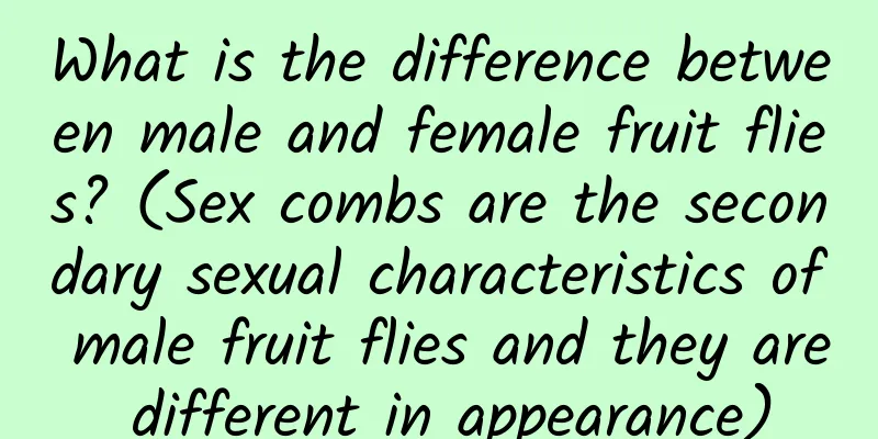 What is the difference between male and female fruit flies? (Sex combs are the secondary sexual characteristics of male fruit flies and they are different in appearance)