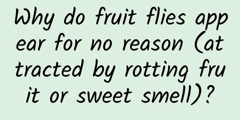 Why do fruit flies appear for no reason (attracted by rotting fruit or sweet smell)?