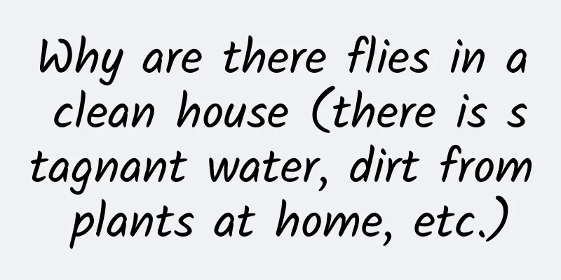 Why are there flies in a clean house (there is stagnant water, dirt from plants at home, etc.)