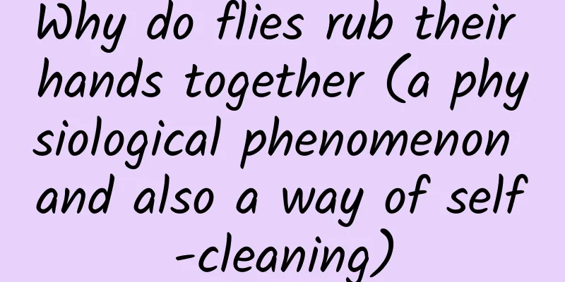 Why do flies rub their hands together (a physiological phenomenon and also a way of self-cleaning)