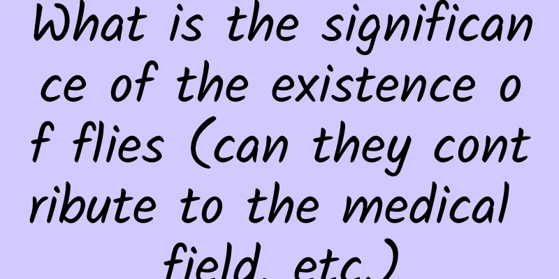 What is the significance of the existence of flies (can they contribute to the medical field, etc.)