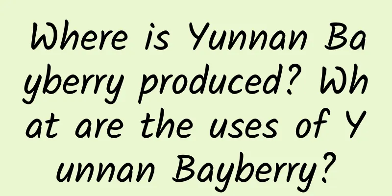 Where is Yunnan Bayberry produced? What are the uses of Yunnan Bayberry?