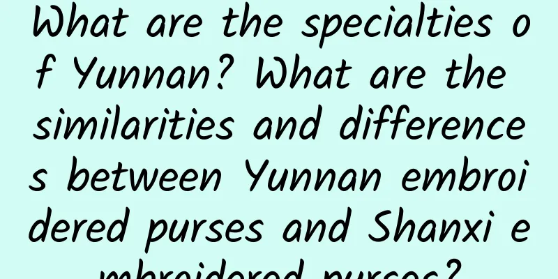 What are the specialties of Yunnan? What are the similarities and differences between Yunnan embroidered purses and Shanxi embroidered purses?