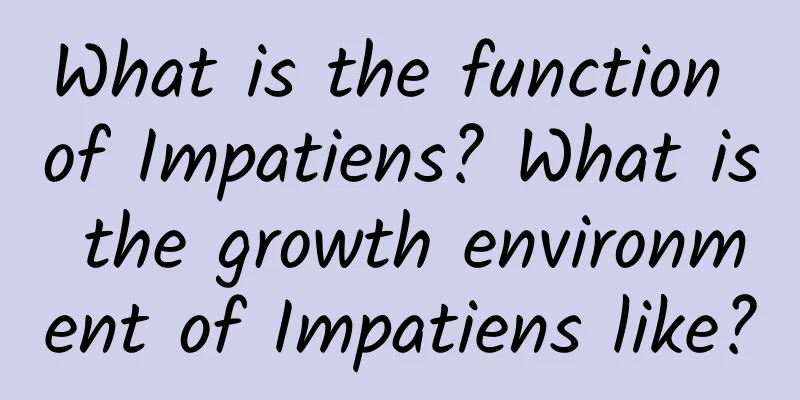 What is the function of Impatiens? What is the growth environment of Impatiens like?