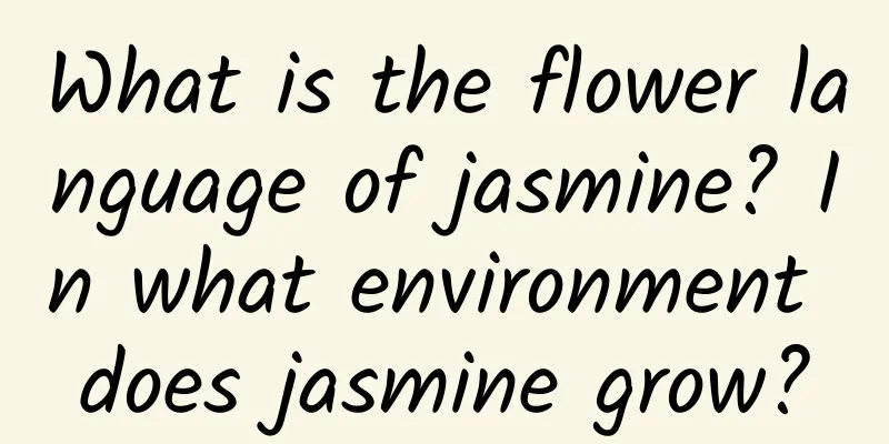 What is the flower language of jasmine? In what environment does jasmine grow?