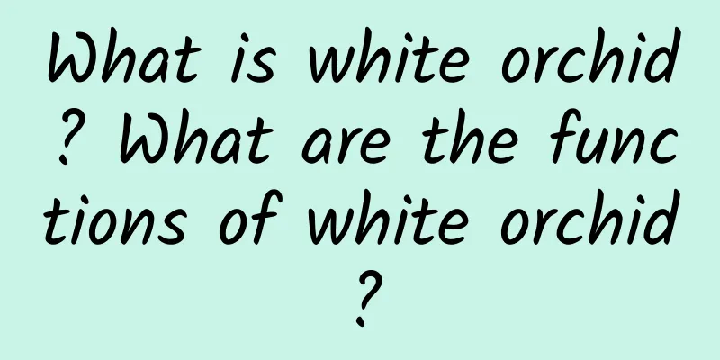 What is white orchid? What are the functions of white orchid?