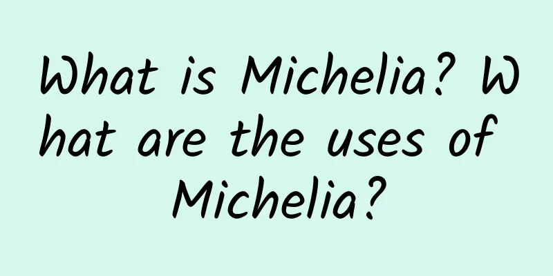 What is Michelia? What are the uses of Michelia?