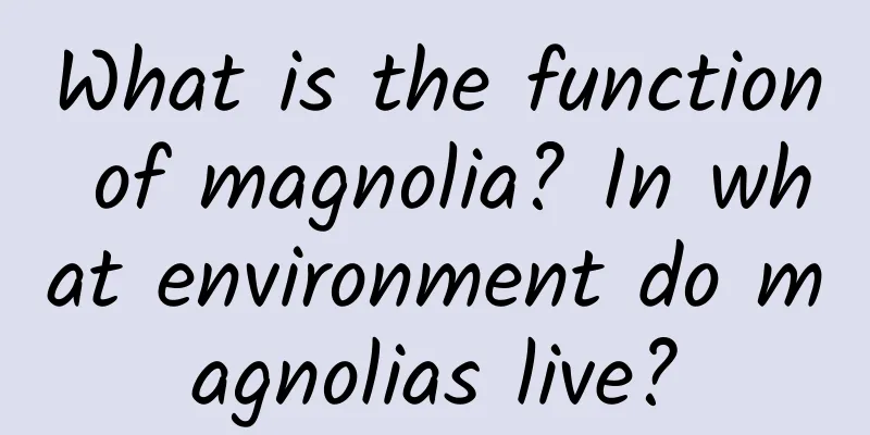 What is the function of magnolia? In what environment do magnolias live?