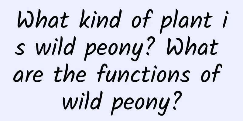 What kind of plant is wild peony? What are the functions of wild peony?