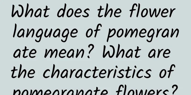 What does the flower language of pomegranate mean? What are the characteristics of pomegranate flowers?