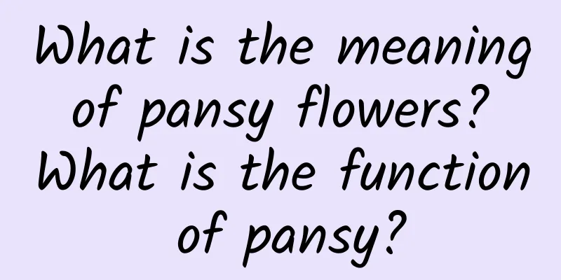 What is the meaning of pansy flowers? What is the function of pansy?