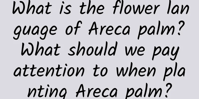 What is the flower language of Areca palm? What should we pay attention to when planting Areca palm?