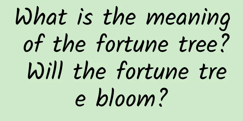 What is the meaning of the fortune tree? Will the fortune tree bloom?