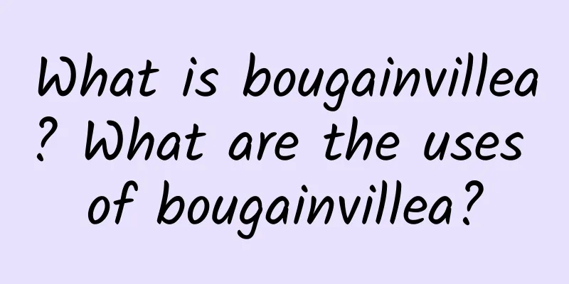 What is bougainvillea? What are the uses of bougainvillea?