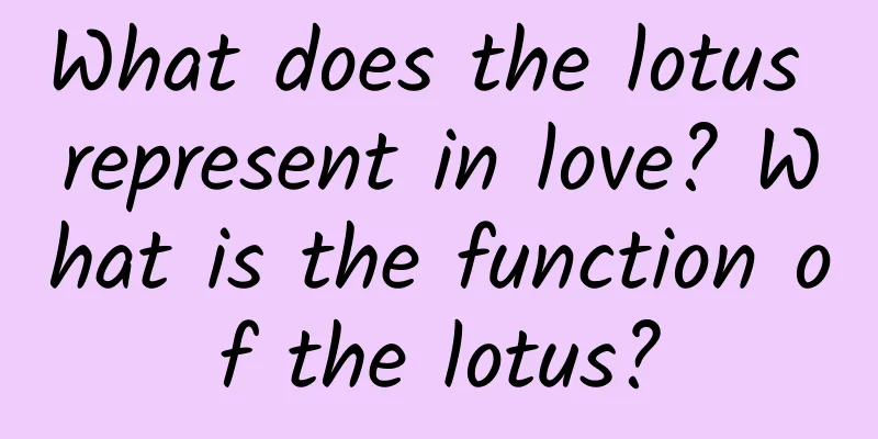 What does the lotus represent in love? What is the function of the lotus?