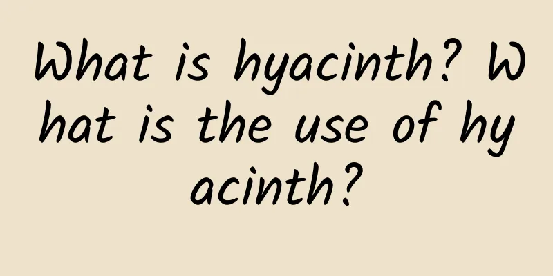 What is hyacinth? What is the use of hyacinth?