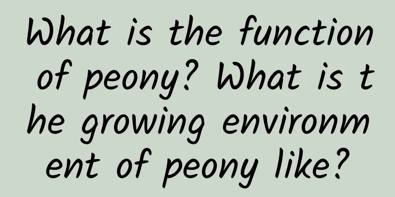 What is the function of peony? What is the growing environment of peony like?