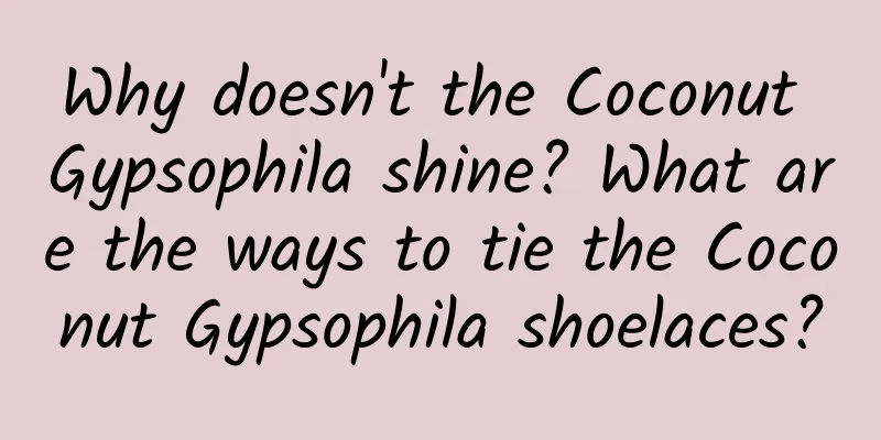 Why doesn't the Coconut Gypsophila shine? What are the ways to tie the Coconut Gypsophila shoelaces?