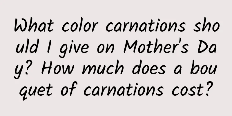 What color carnations should I give on Mother's Day? How much does a bouquet of carnations cost?