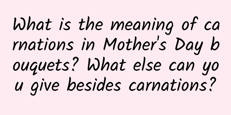 What is the meaning of carnations in Mother's Day bouquets? What else can you give besides carnations?