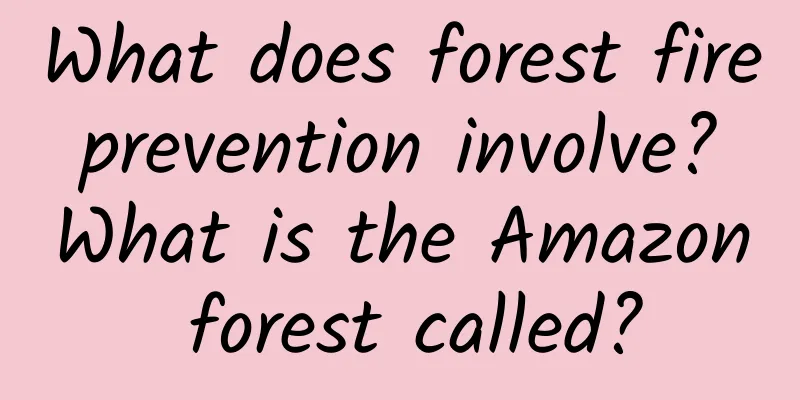 What does forest fire prevention involve? What is the Amazon forest called?