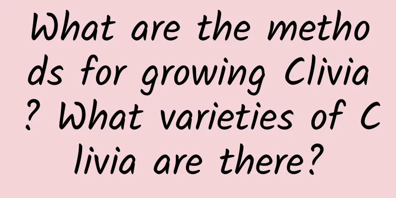 What are the methods for growing Clivia? What varieties of Clivia are there?