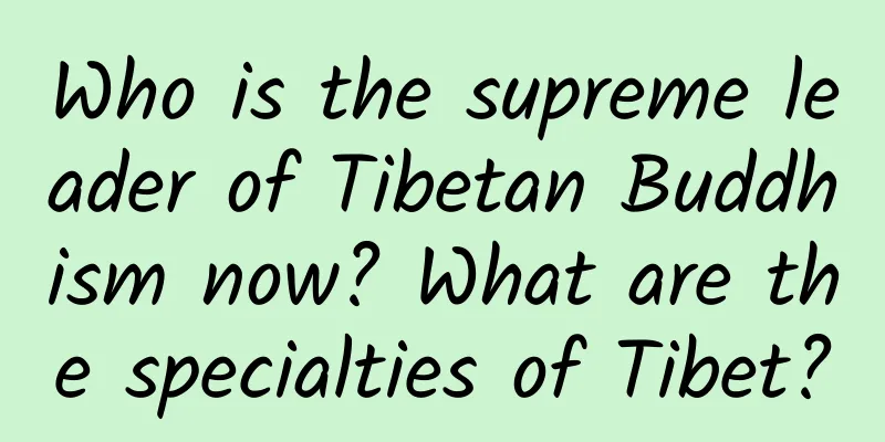 Who is the supreme leader of Tibetan Buddhism now? What are the specialties of Tibet?