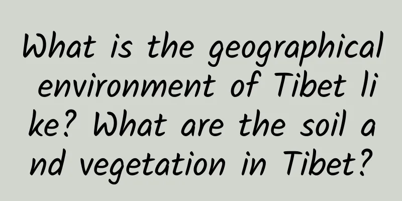 What is the geographical environment of Tibet like? What are the soil and vegetation in Tibet?