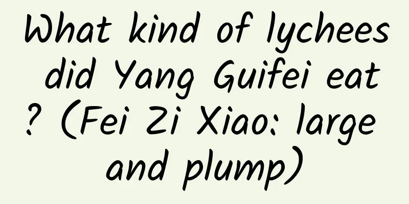 What kind of lychees did Yang Guifei eat? (Fei Zi Xiao: large and plump)