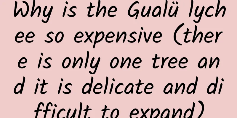 Why is the Gualü lychee so expensive (there is only one tree and it is delicate and difficult to expand)