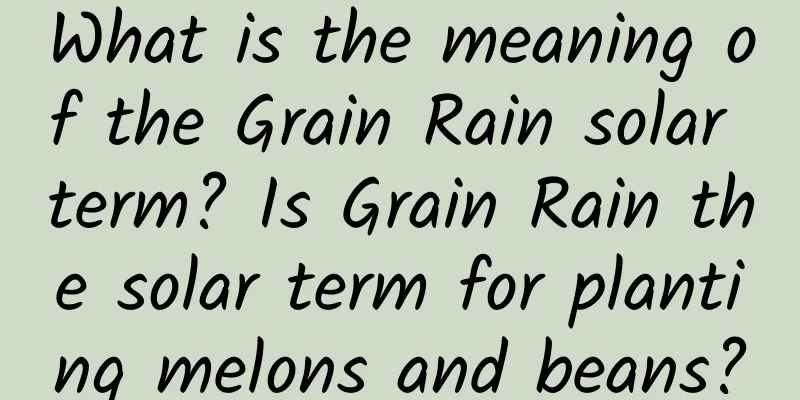 What is the meaning of the Grain Rain solar term? Is Grain Rain the solar term for planting melons and beans?