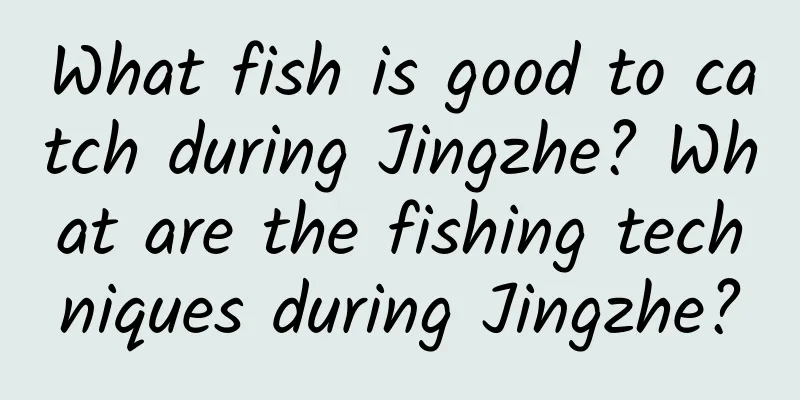 What fish is good to catch during Jingzhe? What are the fishing techniques during Jingzhe?