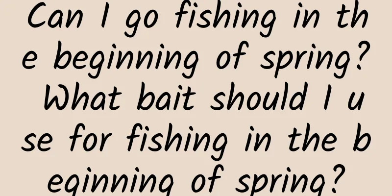 Can I go fishing in the beginning of spring? What bait should I use for fishing in the beginning of spring?