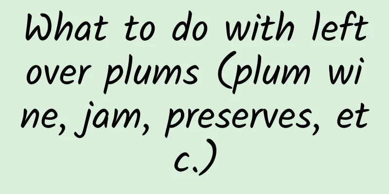 What to do with leftover plums (plum wine, jam, preserves, etc.)