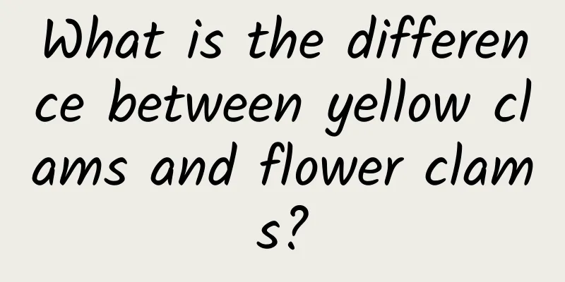 What is the difference between yellow clams and flower clams?