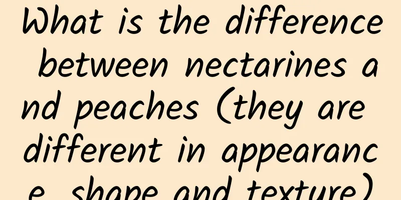 What is the difference between nectarines and peaches (they are different in appearance, shape and texture)