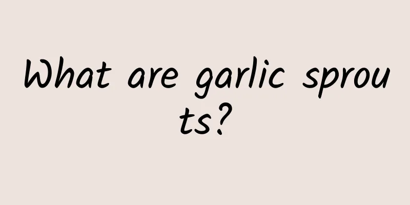 What are garlic sprouts?