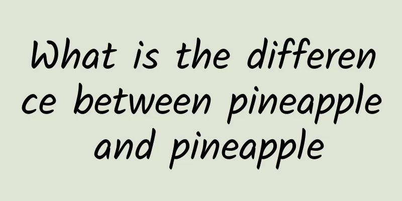 What is the difference between pineapple and pineapple