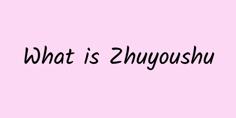 What is Zhuyoushu