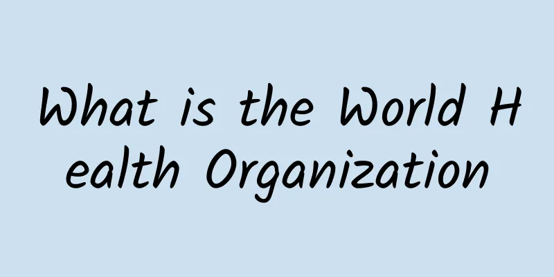 What is the World Health Organization