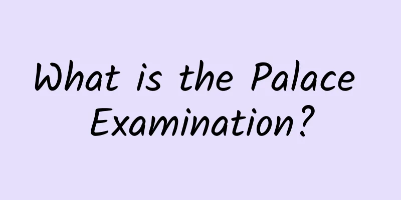 What is the Palace Examination?