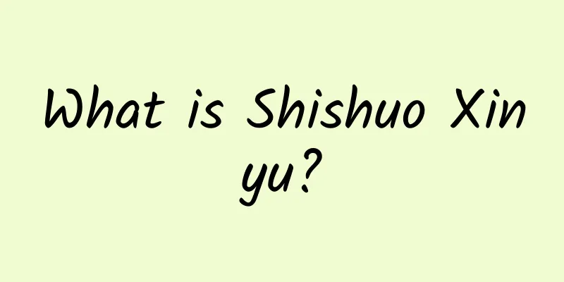 What is Shishuo Xinyu?